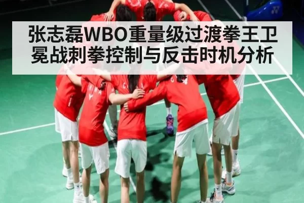 张志磊WBO重量级过渡拳王卫冕战刺拳控制与反击时机分析